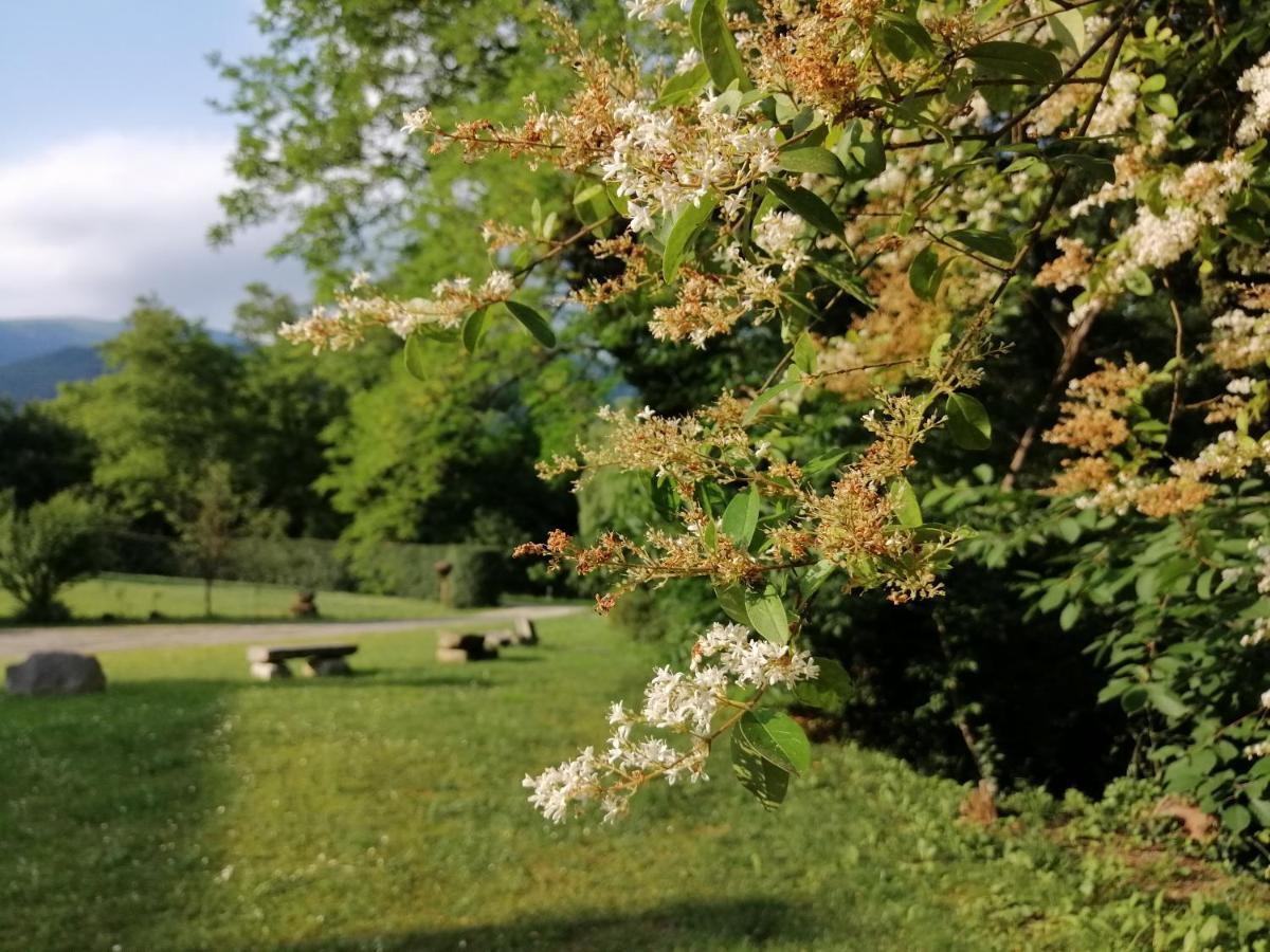 La Cordana Rooms Valdobbiadene Dış mekan fotoğraf