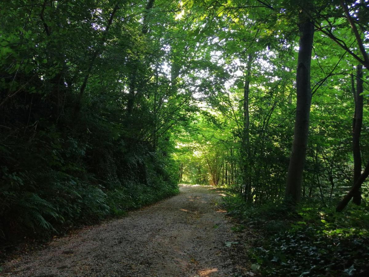 La Cordana Rooms Valdobbiadene Dış mekan fotoğraf